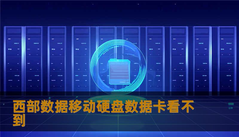 西部数据移动硬盘数据卡看不到
