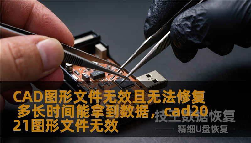 CAD图形文件无效且无法修复 多长时间能拿到数据，cad2021图形文件无效