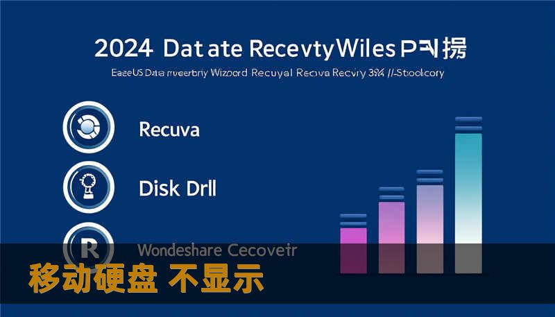 移动硬盘 不显示