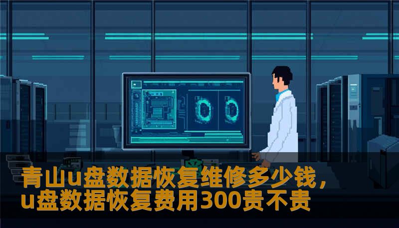 青山u盘数据恢复维修多少钱，u盘数据恢复费用300贵不贵
