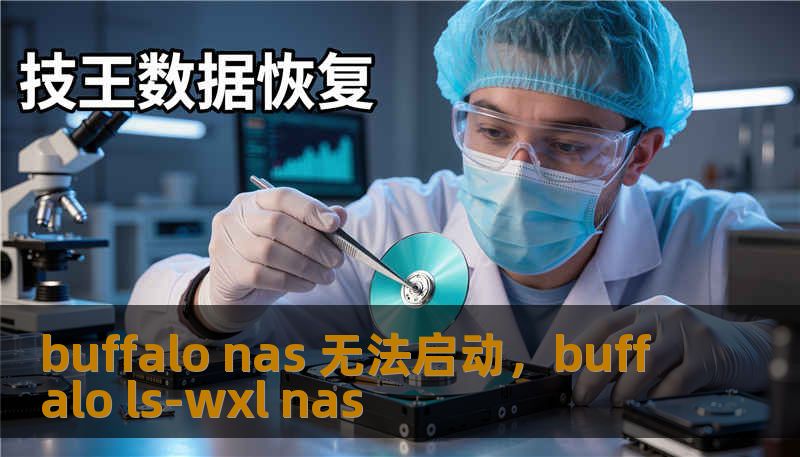 buffalo nas 无法启动，buffalo ls-wxl nas