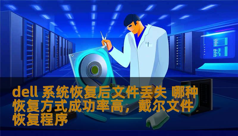 dell 系统恢复后文件丢失 哪种恢复方式成功率高，戴尔文件恢复程序