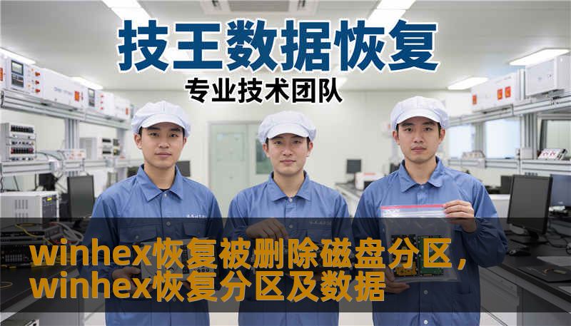 winhex恢复被删除磁盘分区，winhex恢复分区及数据