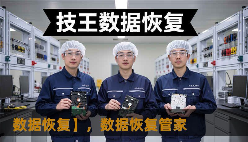 数据恢复】，数据恢复管家
