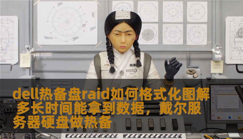 dell热备盘raid如何格式化图解 多长时间能拿到数据，戴尔服务器硬盘做热备