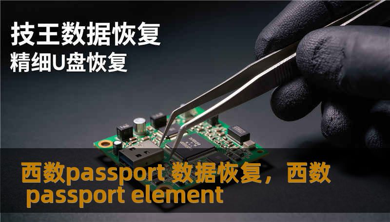 西数passport 数据恢复,西数 passport element 西数passport 数据恢复,西数 passport element
