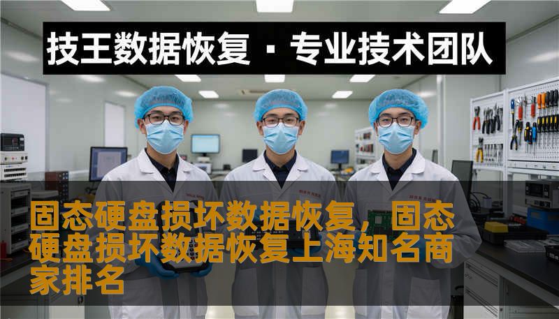 固态硬盘损坏数据恢复，固态硬盘损坏数据恢复上海知名商家排名