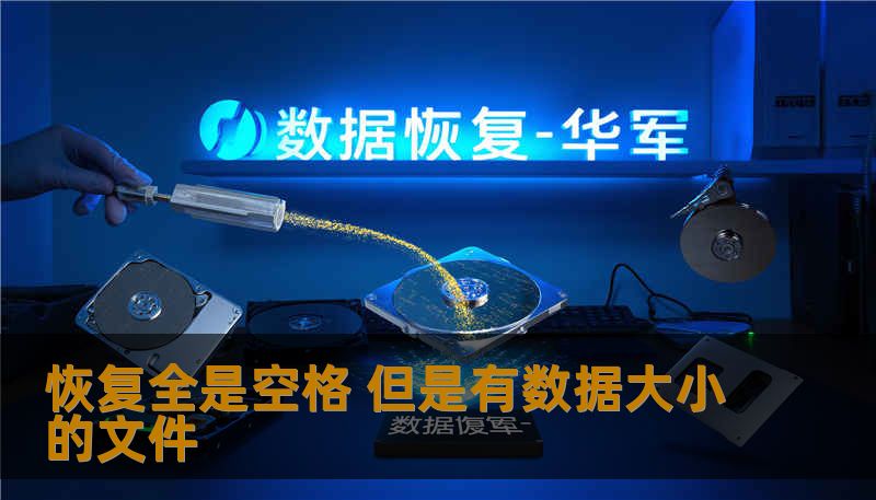 恢复全是空格 但是有数据大小的文件 恢复全是空格 但是有数据大小的文件