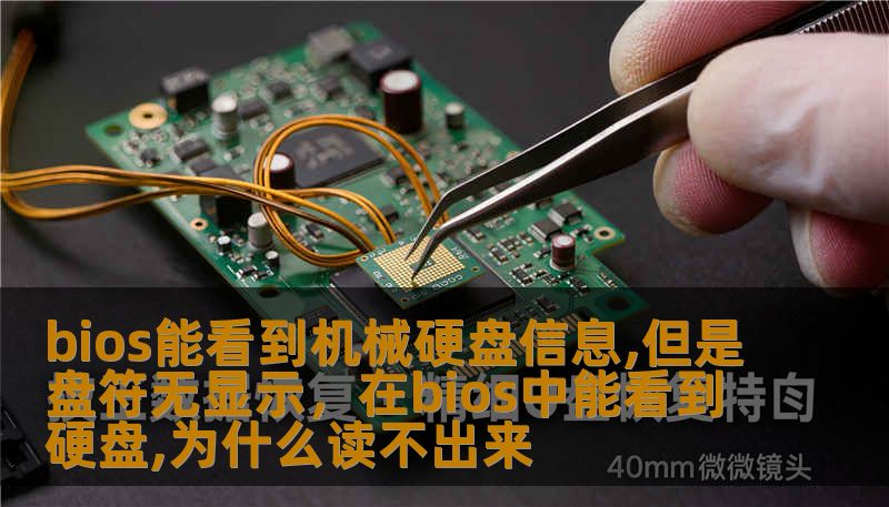 bios能看到机械硬盘信息,但是盘符无显示，在bios中能看到硬盘,为什么读不出来