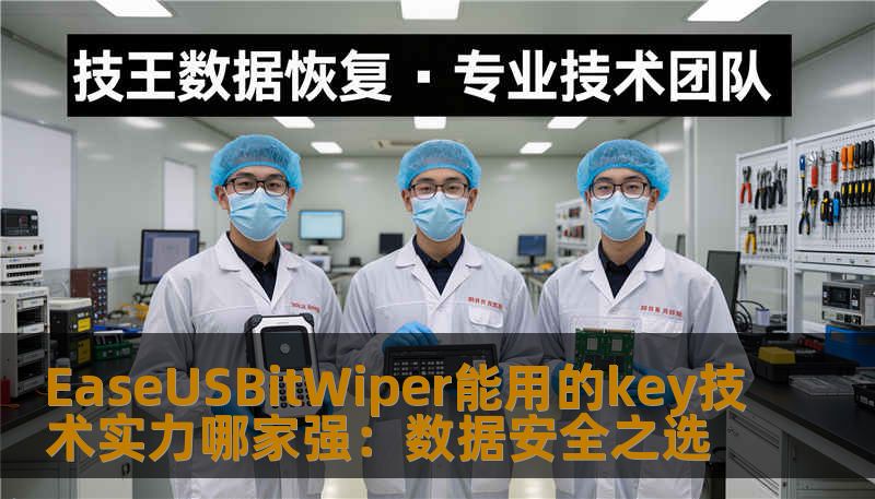 EaseUSBitWiper能用的key技术实力哪家强:数据安全之选 EaseUSBitWiper能用的key技术实力哪家强:数据安全之选