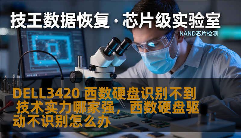 DELL3420 西数硬盘识别不到 技术实力哪家强，西数硬盘驱动不识别怎么办