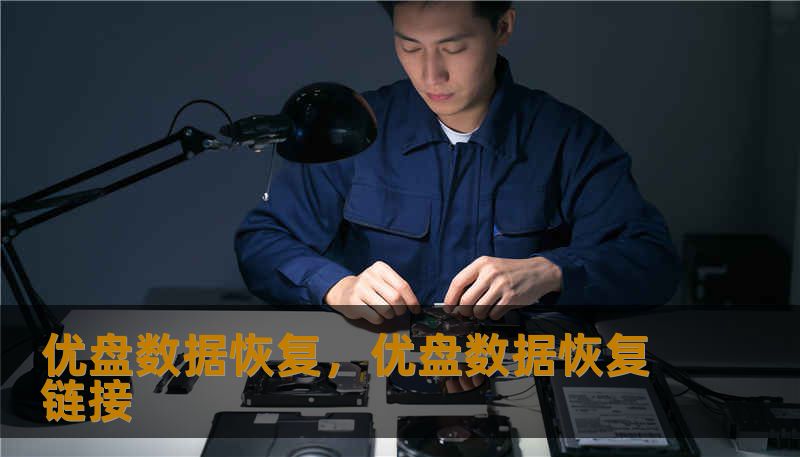 优盘数据恢复，优盘数据恢复链接