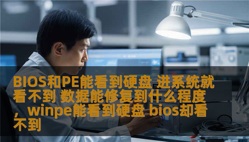 BIOS和PE能看到硬盘 进系统就看不到 数据能修复到什么程度,winpe能看到硬盘 bios却看不到 BIOS和PE能看到硬盘 进系统就看不到 数据能修复到什么程度,winpe能看到硬盘 bios却看不到