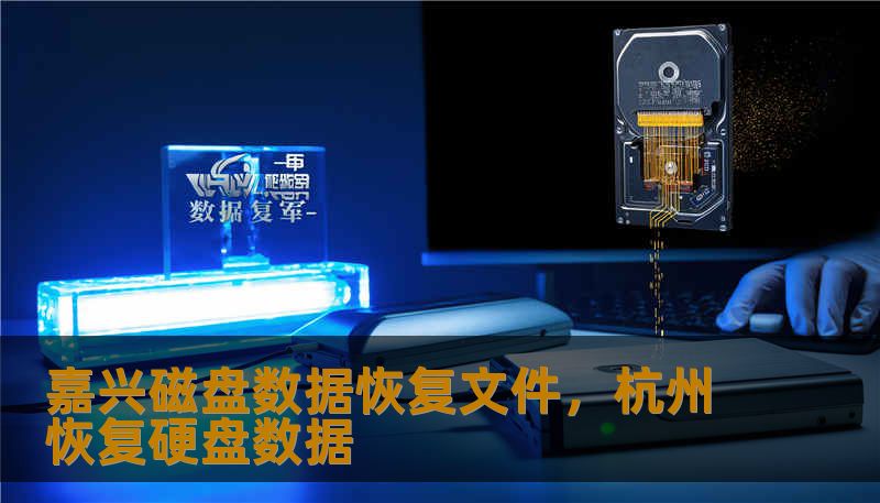 嘉兴磁盘数据恢复文件,杭州恢复硬盘数据 嘉兴磁盘数据恢复文件,杭州恢复硬盘数据