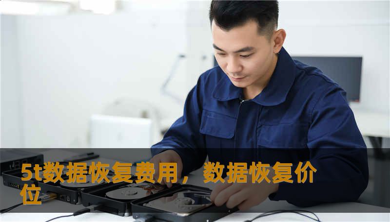 5t数据恢复费用，数据恢复价位