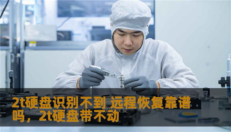 2t硬盘识别不到 远程恢复靠谱吗，2t硬盘带不动