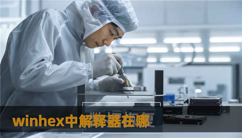 winhex中解释器在哪