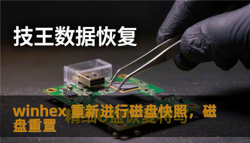 winhex 重新进行磁盘快照，磁盘重置