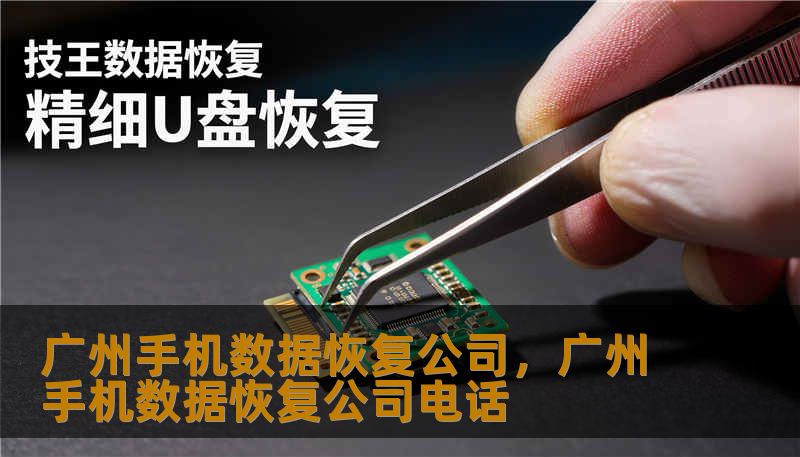 广州手机数据恢复公司，广州手机数据恢复公司电话