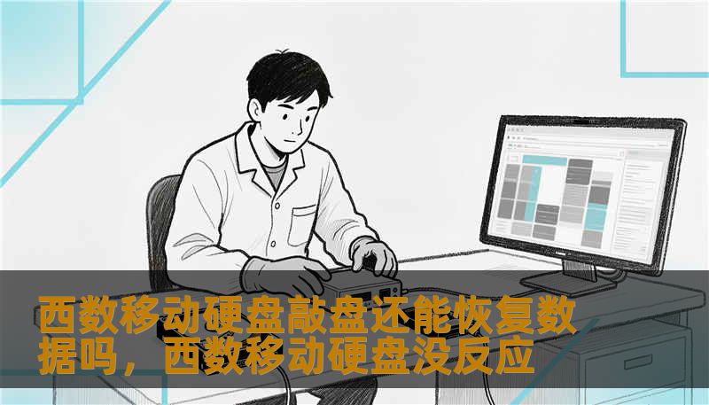 西数移动硬盘敲盘还能恢复数据吗，西数移动硬盘没反应
