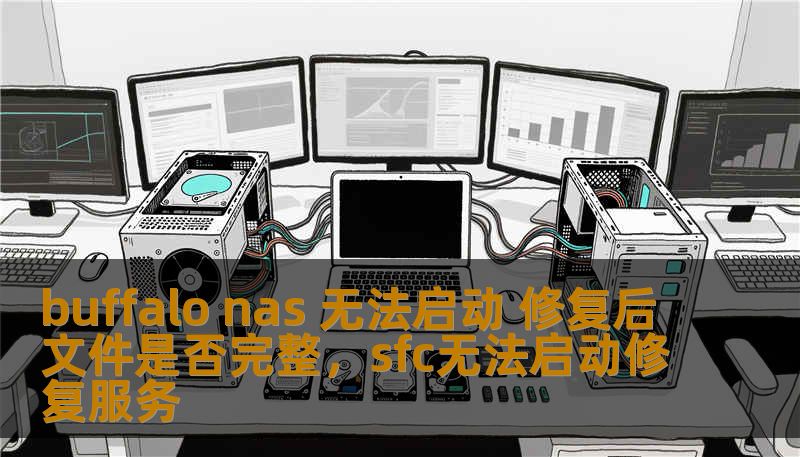 buffalo nas 无法启动 修复后文件是否完整，sfc无法启动修复服务