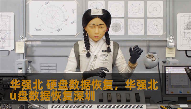 华强北 硬盘数据恢复，华强北u盘数据恢复深圳