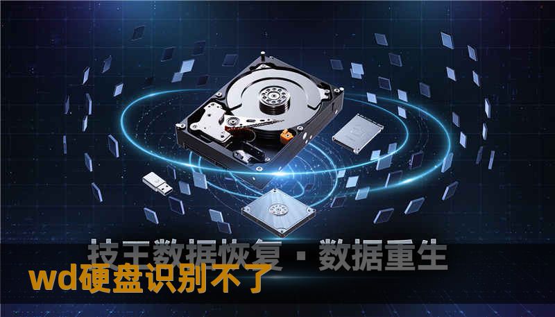 wd硬盘识别不了