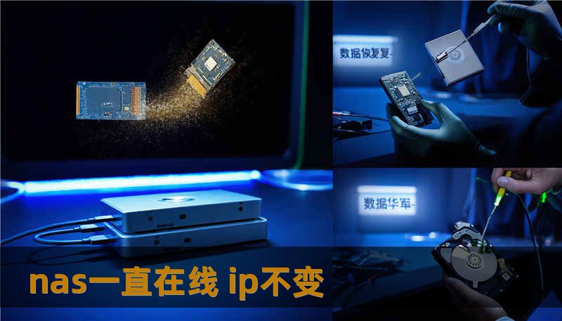 nas一直在线 ip不变