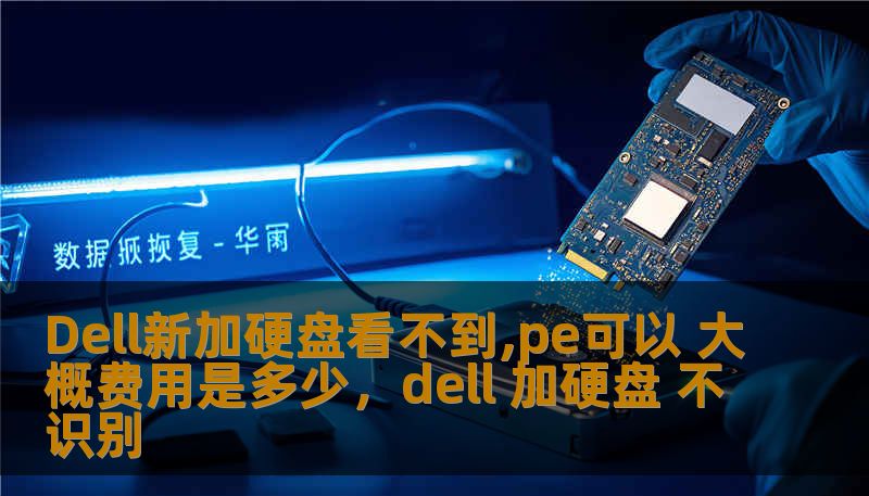Dell新加硬盘看不到,pe可以 大概费用是多少,dell 加硬盘 不识别 Dell新加硬盘看不到,pe可以 大概费用是多少,dell 加硬盘 不识别