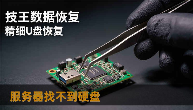 服务器找不到硬盘