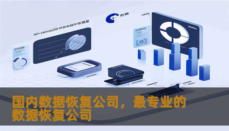 国内数据恢复公司，最专业的数据恢复公司