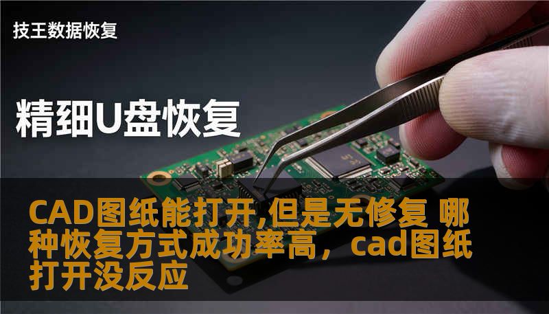 CAD图纸能打开,但是无修复 哪种恢复方式成功率高，cad图纸打开没反应