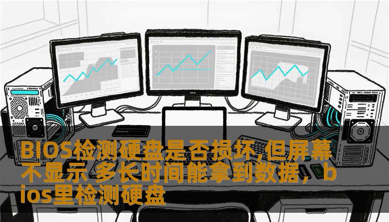 BIOS检测硬盘是否损坏,但屏幕不显示 多长时间能拿到数据,bios里检测硬盘 BIOS检测硬盘是否损坏,但屏幕不显示 多长时间能拿到数据,bios里检测硬盘