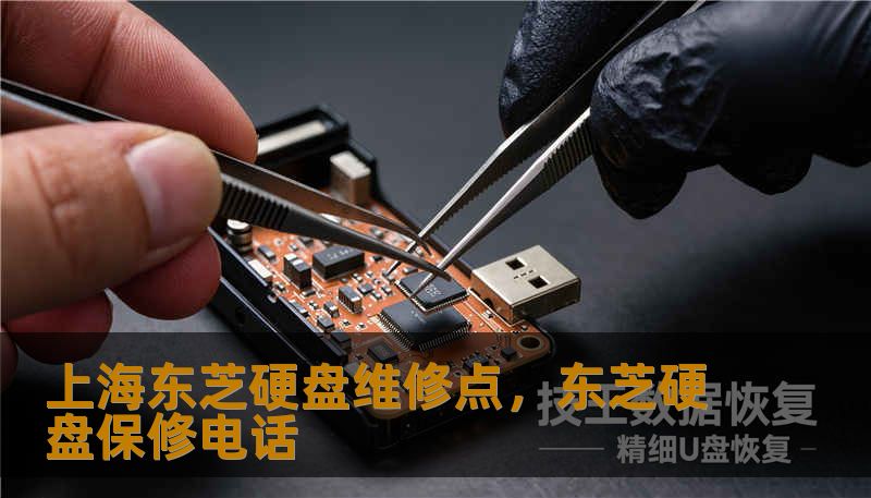 上海东芝硬盘维修点,东芝硬盘保修电话 上海东芝硬盘维修点,东芝硬盘保修电话