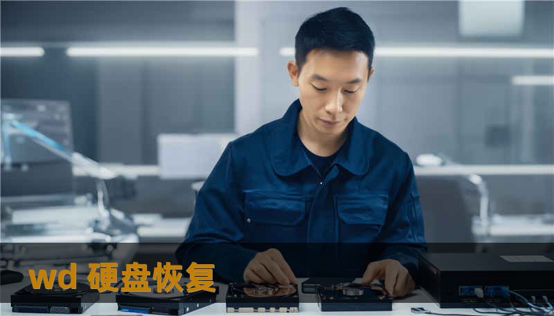 wd 硬盘恢复