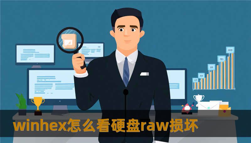 winhex怎么看硬盘raw损坏 winhex怎么看硬盘raw损坏