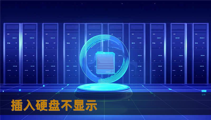 插入硬盘不显示