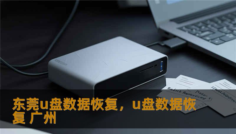 东莞u盘数据恢复,u盘数据恢复 广州 东莞u盘数据恢复,u盘数据恢复 广州
