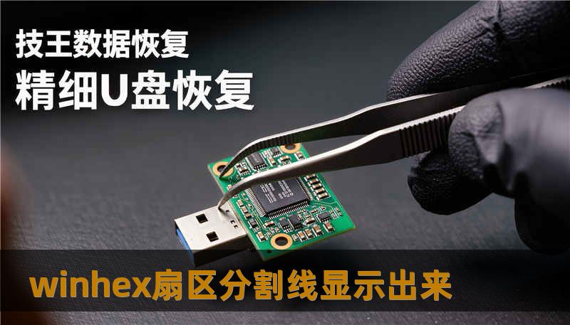 winhex扇区分割线显示出来