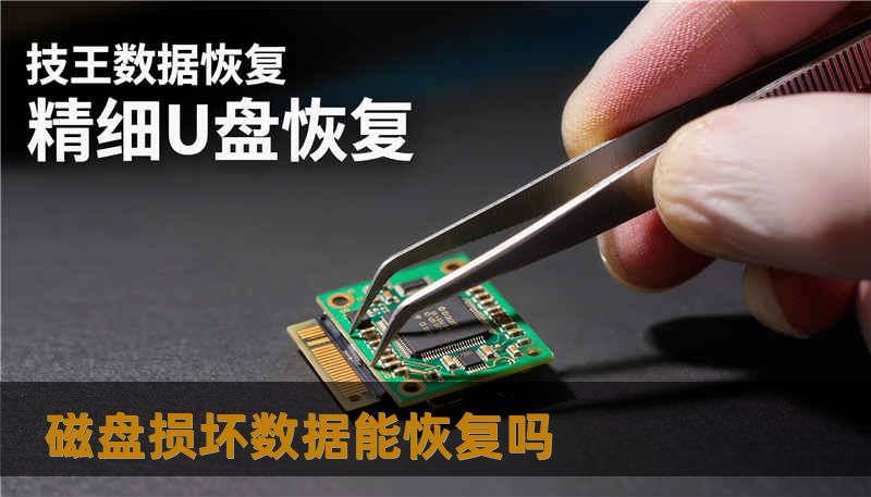 磁盘损坏数据能恢复吗