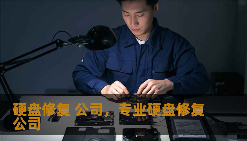 硬盘修复 公司，专业硬盘修复公司