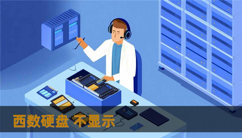 西数硬盘 不显示 西数硬盘 不显示