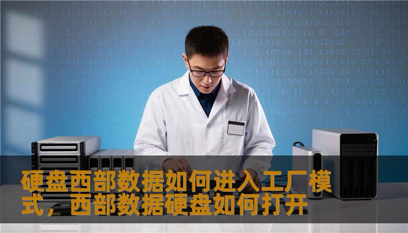 硬盘西部数据如何进入工厂模式，西部数据硬盘如何打开