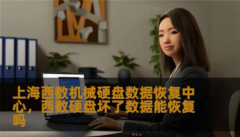 上海西数机械硬盘数据恢复中心，西数硬盘坏了数据能恢复吗