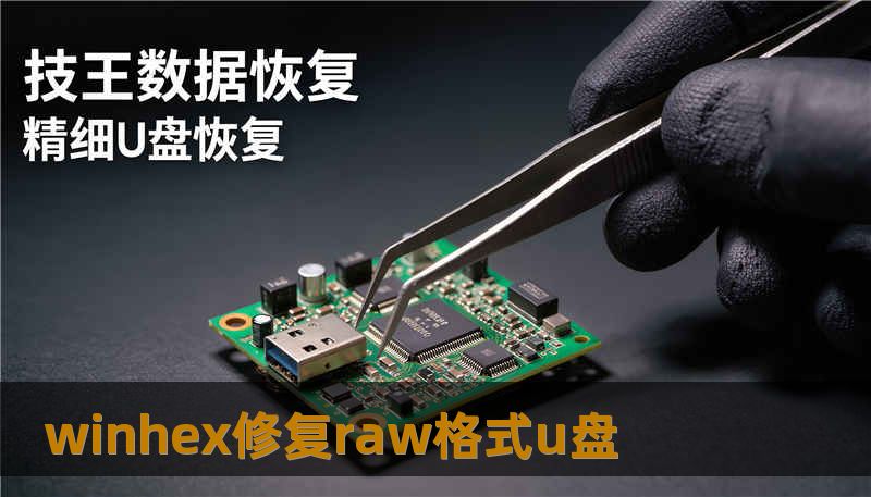 winhex修复raw格式u盘