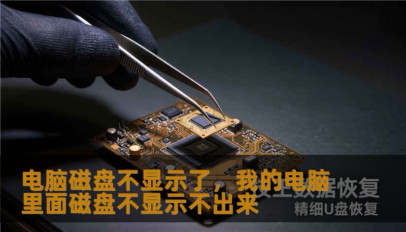 电脑磁盘不显示了,我的电脑里面磁盘不显示不出来 电脑磁盘不显示了,我的电脑里面磁盘不显示不出来