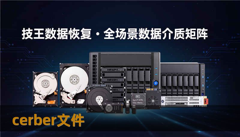 cerber文件