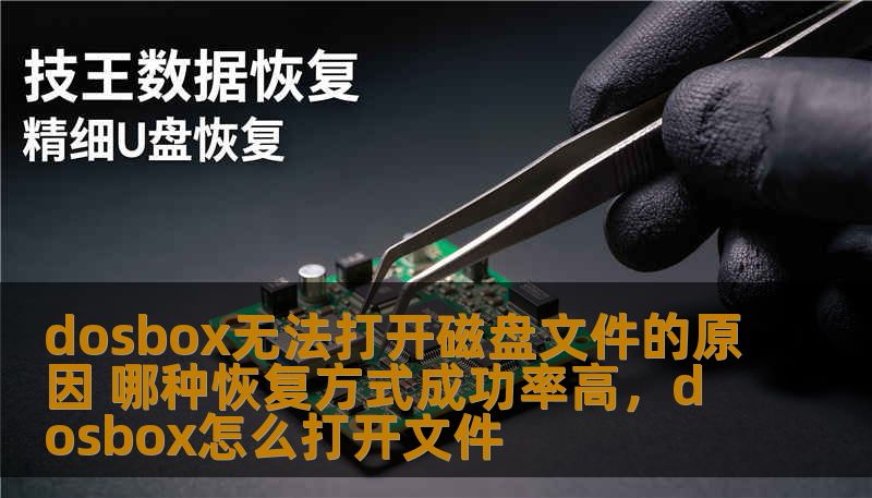 dosbox无法打开磁盘文件的原因 哪种恢复方式成功率高，dosbox怎么打开文件