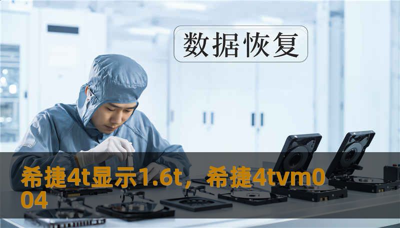 希捷4t显示1.6t,希捷4tvm004 希捷4t显示1.6t,希捷4tvm004