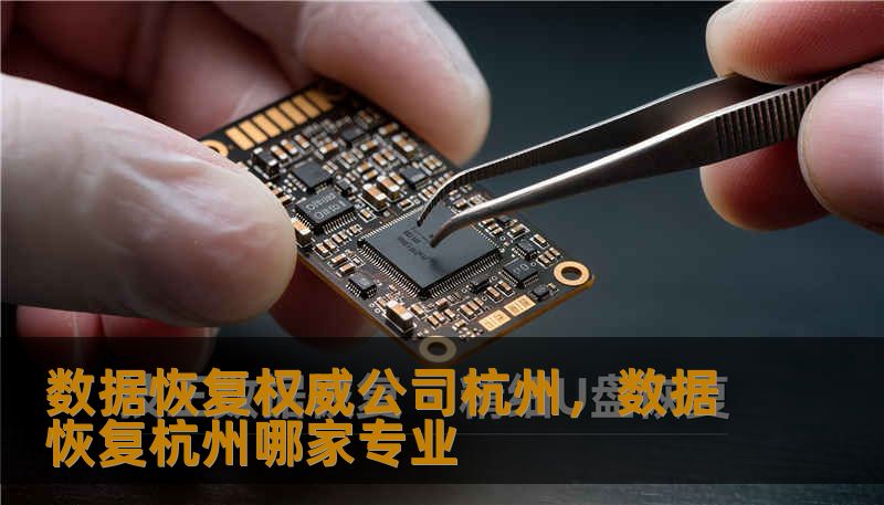 数据恢复权威公司杭州,数据恢复杭州哪家专业 数据恢复权威公司杭州,数据恢复杭州哪家专业